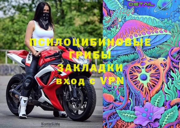 трава Няндома