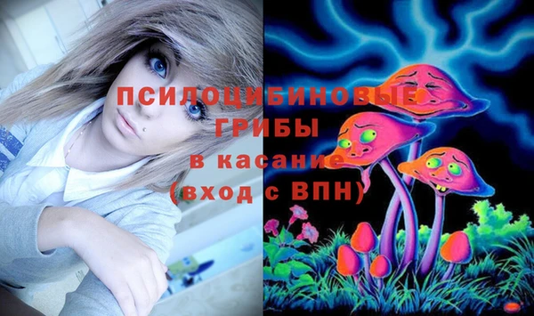 твердый Нягань