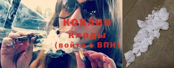 трава Няндома