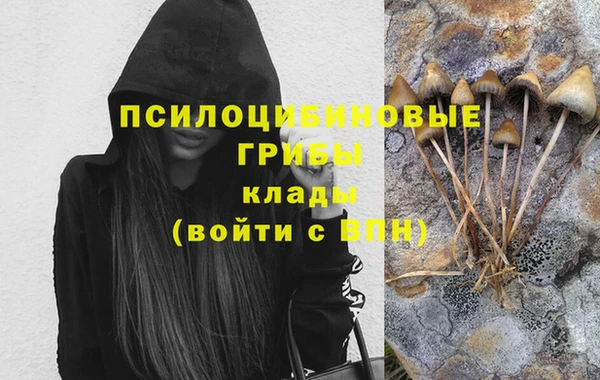 jwh Нязепетровск